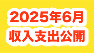 節約改善点と収入・支出(2025年6月)