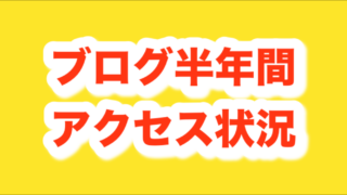 セミリタイアを目指す弱者男性がブログを始めてから半年のアクセス状況